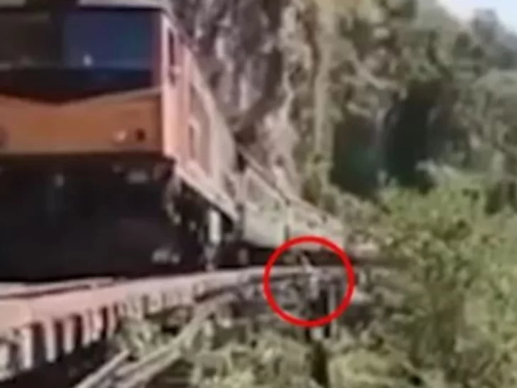 Video: murió al caer de un tren en movimiento mientras intentaba tomarse una selfie