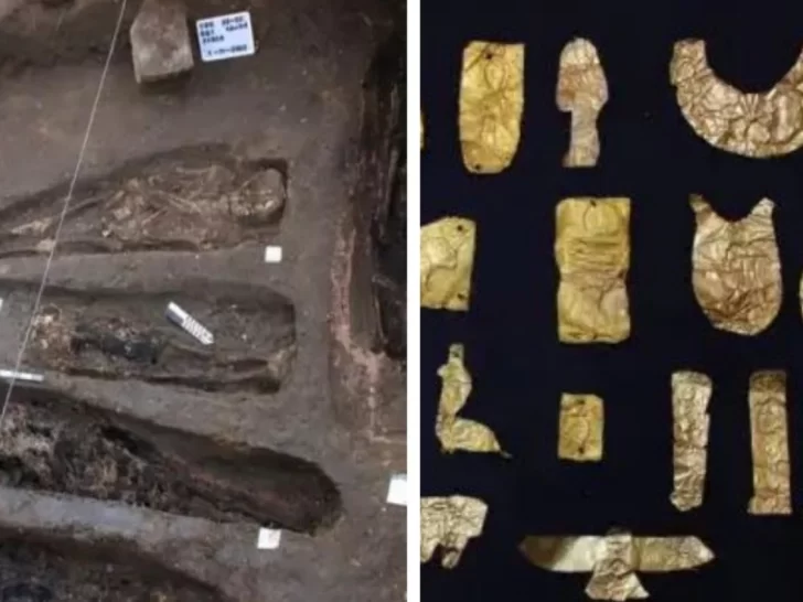 Egipto: encontratron un cementerio con la estatua de la “diosa gato” y “amuletos mágicos”