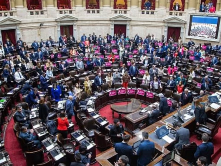 Diputados se refirieron al proyecto de moratoria previsional