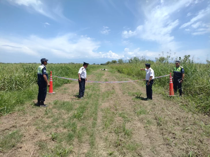 WhatsApp-Image-2023-02-08-at-16.19.10-728x546