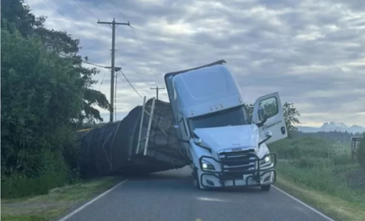 Insólito: volcó un camión y se liberaron 250 millones de abejas en una ruta de EE.UU.