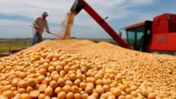 El Gobierno extiende la rebaja de retenciones para el trigo y la cebada: qué pasa con la soja y el maíz El Gobierno extiende la rebaja de retenciones para el trigo y la cebada: qué pasa con la soja y el maíz