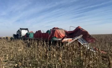 Tragedia en Ruta 7: dos camioneros murieron tras un choque frontal cerca de Laboulaye