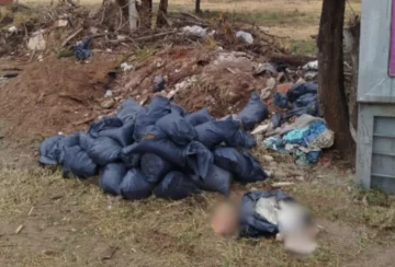 Macabro hallazgo en Córdoba: encontraron partes humanas en un descampado